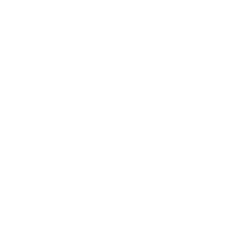 Vinícius Dias